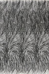Shell Glitter Design On A Mesh Lace 54" Wide| New Creations Fabric & Foam Inc.