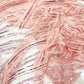 Luxury Feather Damask Beaded Lace Fabric| Prom| Wedding| By The Yard.