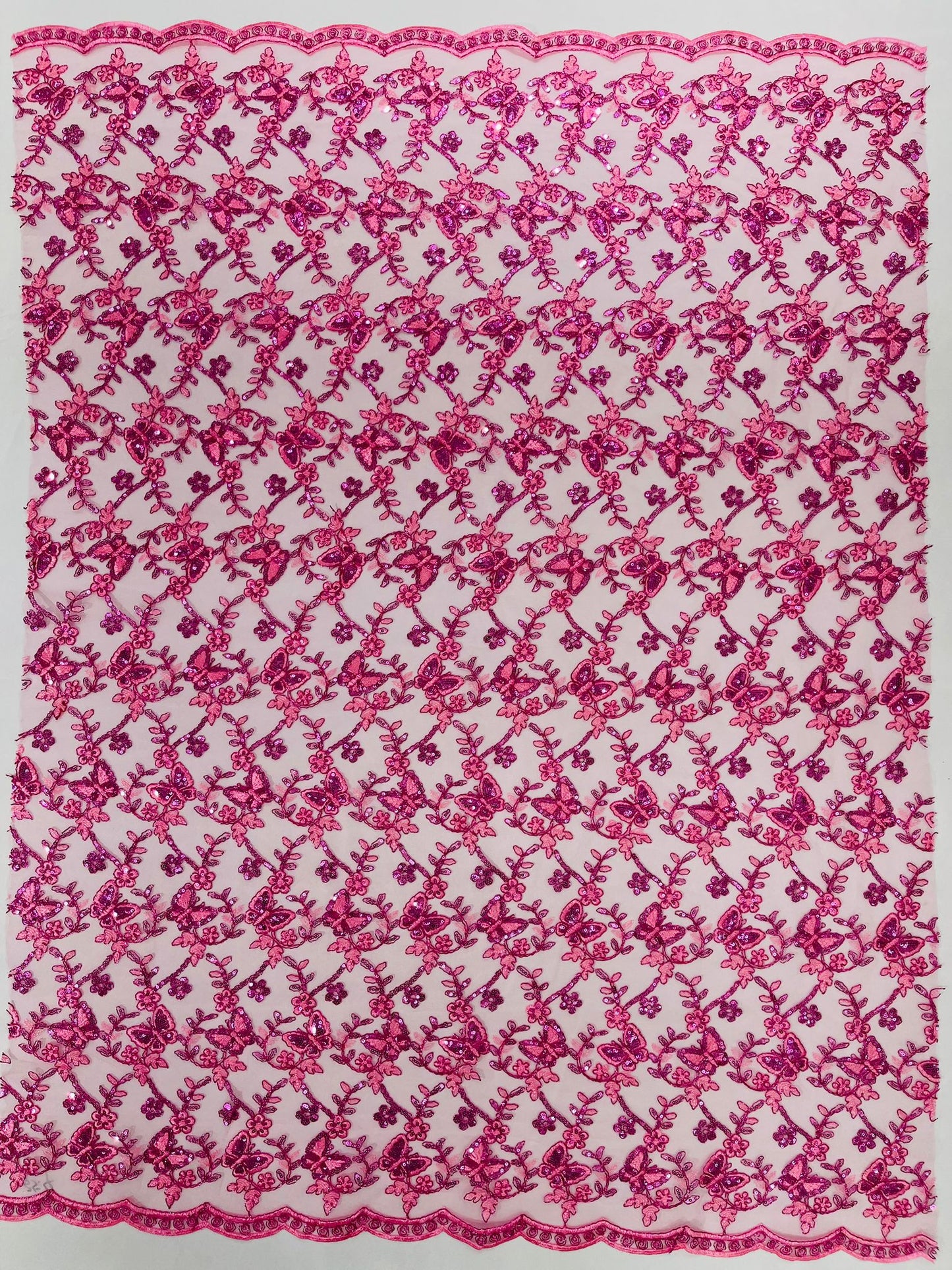 Corded Lace/ Butterfly Design Embroidered With Sequin on a Mesh Lace Fabric - New Creations Fabric & Foam Inc