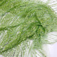 Flame Fashion Beaded Lace Fabric| Prom| Wedding| By The Yard. - New Creations Fabric & Foam Inc