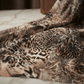 Leopard Print Stretch Power Mesh Fabric 58” Wide by the Yard – Sheer 4 Way Stretch Animal Print Mesh for Dancewear, Lingerie, Dresses & Costumes - New Creations Fabric & Foam Inc