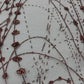 Galaxy Glitter Design On A Mesh Lace 54" Wide| New Creations Fabric & Foam Inc.