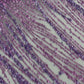 Fashion Glitter Design On A Mesh Lace 54” Wide| New Creations Fabric & Foam Inc.