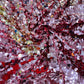 Round Sequin Fabric 54” Wide| New Creations Fabric & Foam Inc. - New Creations Fabric & Foam Inc