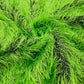 Shaggy Jacquard Faux Ostrich/Eye Lash Feathers Fringe With Metallic Thread (By The Yard) - New Creations Fabric & Foam Inc