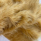 SHAGGY VEGGAN FAUX FUR (by the yard) - New Creations Fabric & Foam Inc