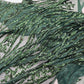 Vine/Root Sequin 4 Way Stretch Fabric 54” Wide| New Creations Fabric & Foam Inc. - New Creations Fabric & Foam Inc