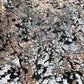 Camo Sequin Stretch Velvet 54" Wide| New Creations Fabric & Foam Inc. - New Creations Fabric & Foam Inc