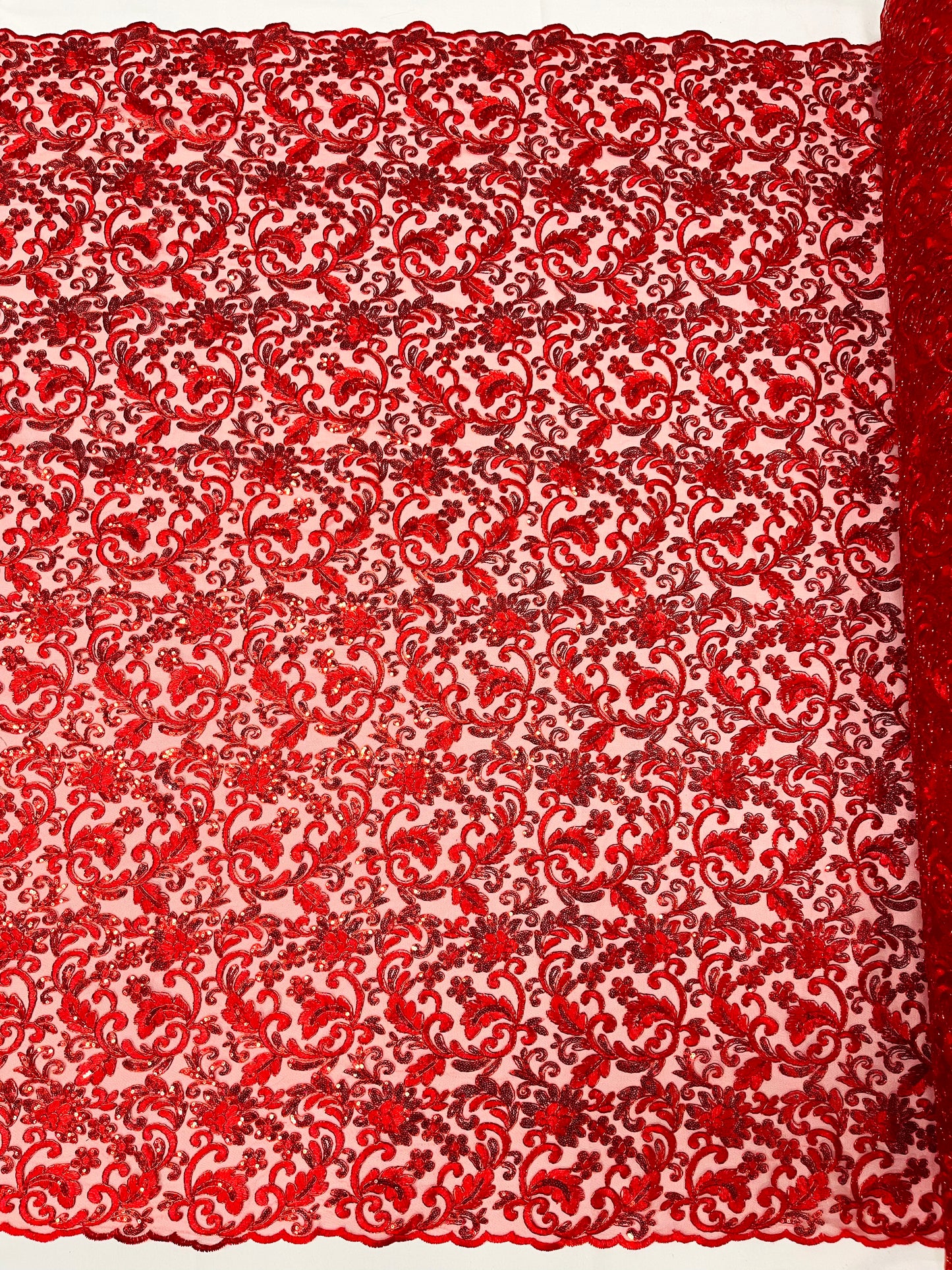 Angela Metallic corded lace 54" Wide| New Creations Fabric & Foam Inc.